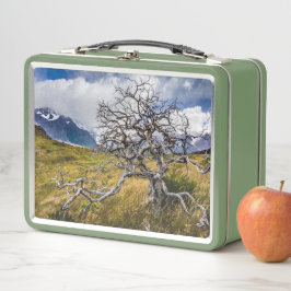 チリ、Torres del Paine、Burnt tree メタルランチボックス