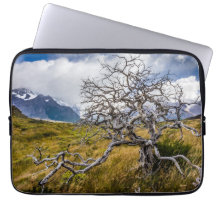 チリ、Torres del Paine、Burnt tree