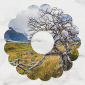 チリ、Torres del Paine、Burnt tree ワイングラスタグ (正面)