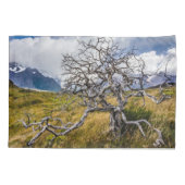 チリ、Torres del Paine、Burnt tree 枕カバー (裏面)