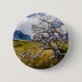 チリ、Torres del Paine、Burnt tree 缶バッジ (正面)