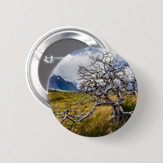 チリ、Torres del Paine、Burnt tree 缶バッジ (正面&裏面)