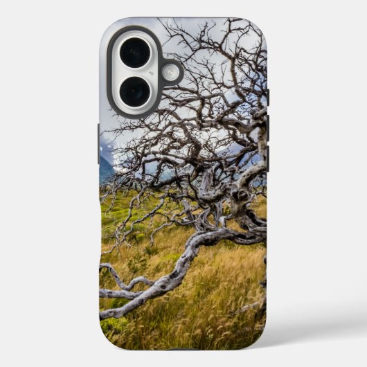 チリ、Torres del Paine、Burnt tree Case-Mate iPhoneケース (裏面)