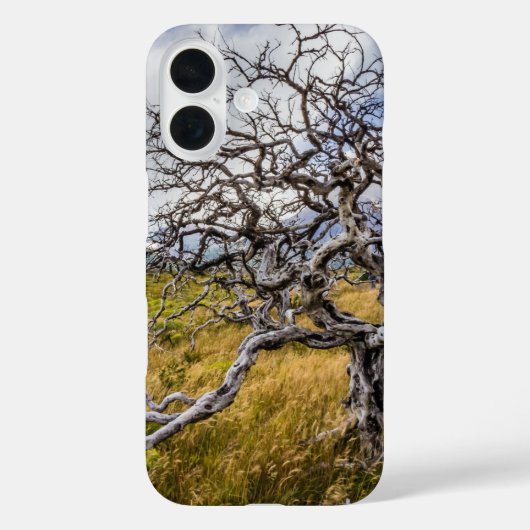 チリ、Torres del Paine、Burnt tree Case-Mate iPhoneケース (裏面)