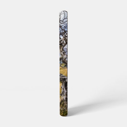 チリ、Torres del Paine、Burnt tree Samsung Galaxyケース (左側面)