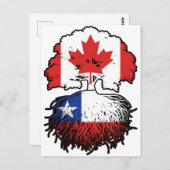 チリChili Canada Tree Roots国旗 ポストカード (正面/裏面)