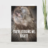 チルおもしろいドヘッドチキン接写フォト カード (正面)