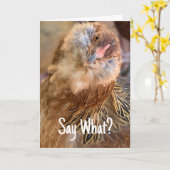 チルおもしろいドヘッドチキン接写フォト カード (黄色い花)