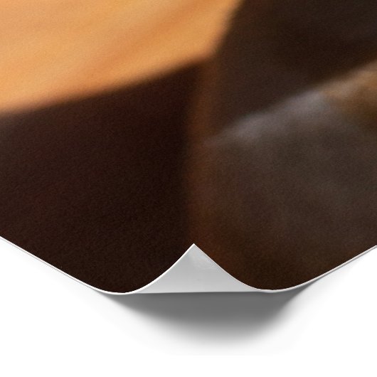 チルアクシ チワワののんびりリラックスした舌を出した写真 ポスター (角)