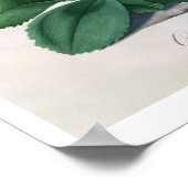 チルトンの栄光 ポスター (角)