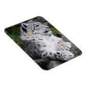 チルドアウトユキヒョウ マグネット (右側)