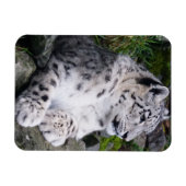 チルドアウトユキヒョウ マグネット (横)