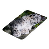 チルドアウトユキヒョウ マグネット (左側)