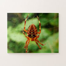 チルドレンズスパイダーパズル