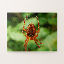 チルドレンズスパイダーパズル ジグソーパズル