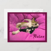 チル ビル & リラックス マックス ポストカード (正面/裏面)