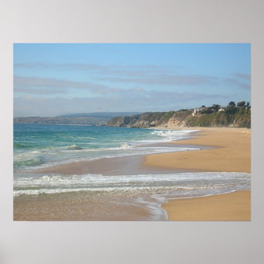 チレービーチ ポスター (正面)