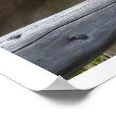 チロル牛の顔スルー・フェンス ポスター (角)