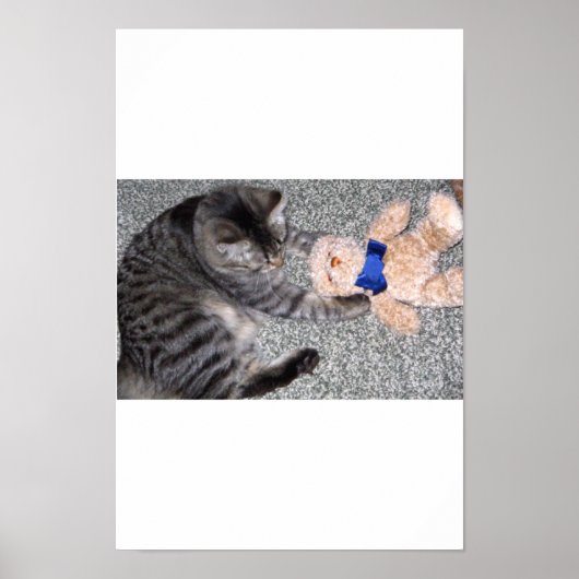 「チロ猫」 ポスター (正面)