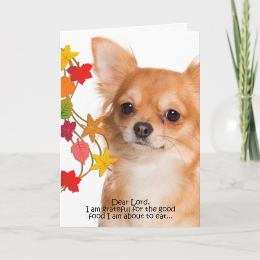 チワおもしろいホアサンクスギビングカード シーズンカード (正面)