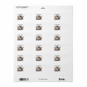 チワハス ラベル (フルシート)