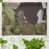 チワファンシーワ キッチンタオル (折り畳み)