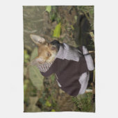 チワファンシーワ キッチンタオル (縦)