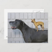 チワフアオングレート・ダン ポストカード (正面/裏面)