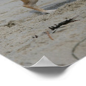 チワフアオンビーチ ポスター (角)