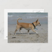 チワフアオンビーチ ポストカード (正面/裏面)