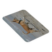 チワフアオンビーチ マグネット (右側)