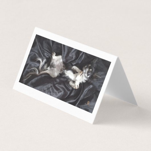 チワフアオンブラックシルク (正面)