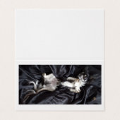 チワフアオンブラックシルク (外部フラット)