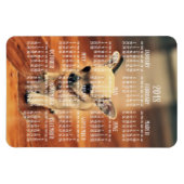 チワフアカレンダー2018フォトマグネット4x6大 マグネット (横)