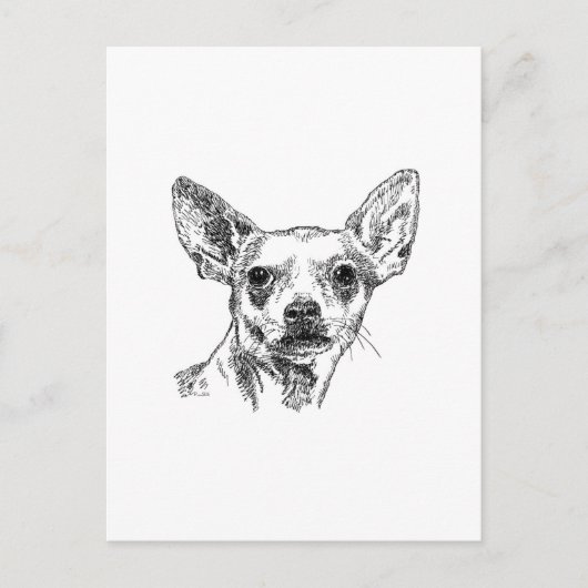 チワフアチワワドッグス ポストカード (正面)