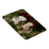 チワフアパピーズ マグネット (右側)