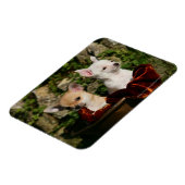 チワフアパピーズ マグネット (左側)