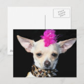 チワフアパンク葉書 ポストカード (正面/裏面)