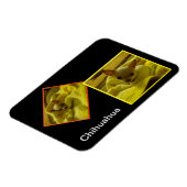 チワフアフレキシブルフォトマグネット マグネット (左側)