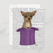 チワホアイントップハット ポストカード (正面/裏面)