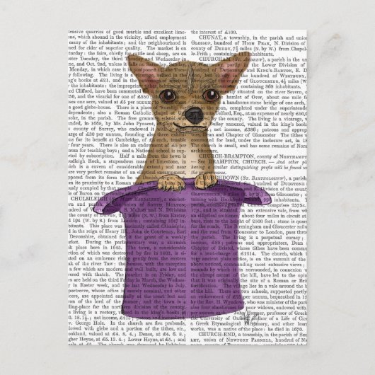 チワホアイントップハット ポストカード (正面)