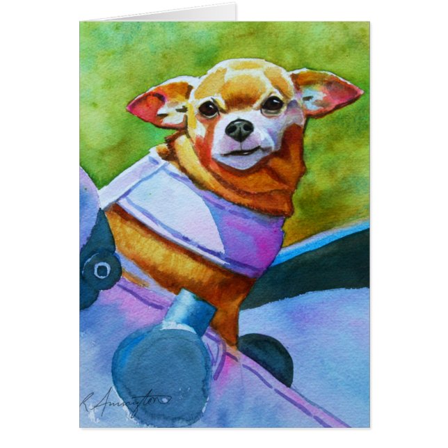 チワホアインベビーカー (正面)