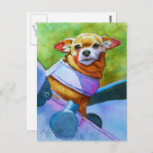 チワホアインベビーカー ポストカード (正面/裏面)