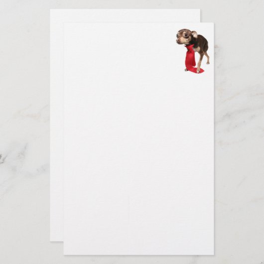 チワホアエグゼクティブ 便箋 (正面/裏面)