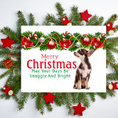 チワホアクリスマスカード シーズンポストカード