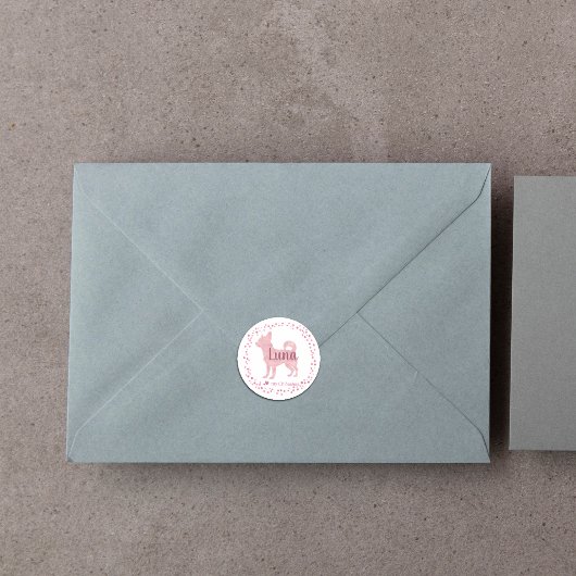 チワホアステッカー – パステルパーソナライズされたピンクギフト ラウンドシール