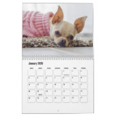 チワホアドグカレンダー カレンダー (1月 2026)