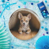 チワホアドッグの下にラグ ペーパープレート (パーティー)