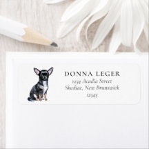 チワホアドッグアドレス