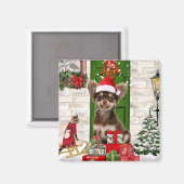 チワホアドッグクリスマス マグネット (正面/裏面)